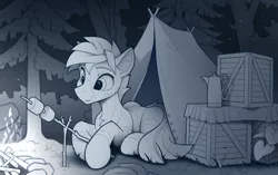 Size: 2100x1318 | Tagged: safe, artist:yakovlev-vad, derpibooru import, oc, oc:dark straw, unofficial characters only, zebra, campfire, cozy, fire, food, forest, image, male, marshmallow, night, patreon, patreon reward, png, solo, stallion, tent, tree