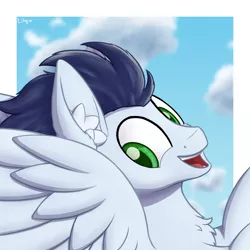 Size: 1500x1500 | Tagged: safe, artist:litrojia, derpibooru import, soarin', pegasus, pony, bust, chest fluff, cloud, ear fluff, flying, looking at you, male, open mouth, portrait, smiling, solo, spread wings, stallion, wings