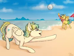 Size: 3000x2280 | Tagged: safe, alternate version, artist:sad_smoker, derpibooru import, oc, oc:cloudy zap, oc:sora seeds, unofficial characters only, pegasus, pony, icey-verse, ball, beach, clothes, commission, duo, ear piercing, earring, eyebrow piercing, female, jewelry, magical gay spawn, mare, multicolored hair, offspring, open mouth, parent:braeburn, parent:sky stinger, parent:soarin', parent:vapor trail, parents:soarburn, parents:vaporsky, piercing, raised hoof, raised leg, sand, shorts, sports, summer, swimming trunks, tattoo, trunks, umbrella, underhoof, volleyball, water, ych result