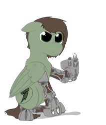 Size: 2996x3516 | Tagged: safe, artist:capt-sierrasparx, derpibooru import, oc, oc:grounder, unofficial characters only, cyborg, pegasus, pony, fallout equestria, amputee, brand, dashite, dashite brand, fallout, female, flipping off, foe adventures, mare, simple background, solo, talons, transparent background