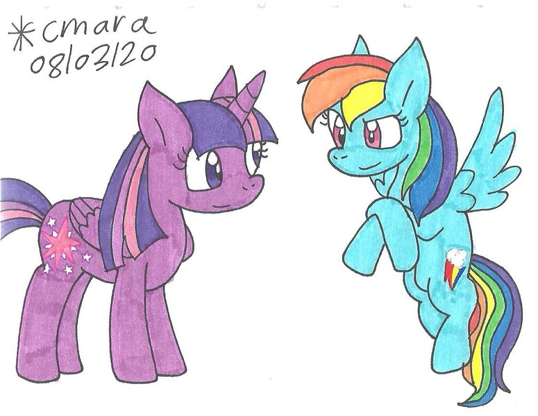 Size: 1119x866 | Tagged: safe, artist:cmara, derpibooru import, rainbow dash, twilight sparkle, twilight sparkle (alicorn), alicorn, pegasus, pony, crossed arms, duo, female, flying, mare, raised hoof, simple background, traditional art, white background