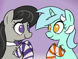 Size: 320x240 | Tagged: safe, artist:davierocket, derpibooru import, lyra heartstrings, octavia melody, earth pony, pony, unicorn, animated, blushing, boop, clothes, cute, eye contact, eyes closed, female, floppy ears, grin, looking at each other, loop, lyrabetes, mare, no pupils, purple background, simple background, smiling, socks, squee, striped socks, tavibetes