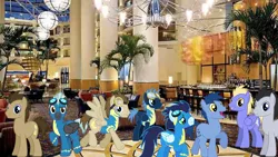 Size: 1920x1080 | Tagged: safe, artist:chainchomp2 edit, derpibooru import, blues, doctor whooves, lucky clover, noteworthy, soarin', star hunter, thorn (character), thunderlane, time turner, pony, hotel, irl, lobby, male, photo, ponies in real life, stallion