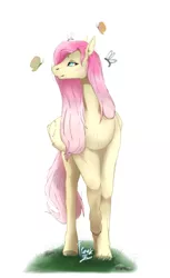 Size: 1920x3136 | Tagged: safe, artist:chao-xing, derpibooru import, fluttershy, butterfly, insect, pegasus, pony, female, mare, simple background, solo, white background