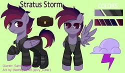 Size: 1370x800 | Tagged: safe, artist:thanhvy15599, derpibooru import, oc, pegasus, pony, commission, cutie mark, male, pegasus oc, refsheet, simple background, solo, wings