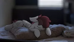 Size: 1280x720 | Tagged: safe, artist:allen2448, derpibooru import, oc, oc:allen, unofficial characters only, pegasus, pony, comfy, floppy ears, irl, photo, pillow, ponies in real life, sleeping, solo