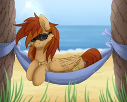 Size: 2500x2000 | Tagged: safe, artist:dreamy, artist:littledreamycat, derpibooru import, oc, oc:thunder twirl, unofficial characters only, pegasus, pony, beach, female, grass, hammock, lens flare, looking at you, mare, palm tree, solo, sun, sunglasses, sunny day, tree
