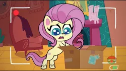 Size: 1280x720 | Tagged: safe, derpibooru import, screencap, fluttershy, pegasus, pony, my little pony: pony life, unboxing day, spoiler:pony life s01e18, spoiler:pony life s01e30, animation error, box, female, fluttershy's cottage, mare, missing wing, no wing, recording, sad, solo, treehouse logo, wingless, wingless fluttershy
