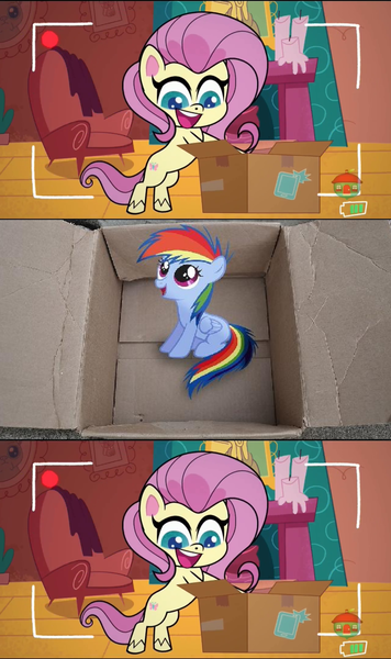 Size: 1280x2160 | Tagged: safe, derpibooru import, edit, edited screencap, screencap, fluttershy, rainbow dash, pegasus, pony, fanfic:my little dashie, my little pony: pony life, unboxing day, spoiler:pony life s01e18, spoiler:pony life s01e30, animation error, box, exploitable meme, female, fluttershy's cottage, good people finding dash meme, mare, meme, obligatory pony