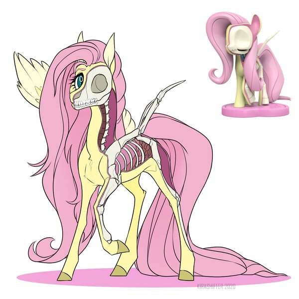 Size: 1200x1200 | Tagged: safe, artist:dementra369, derpibooru import, fluttershy, pegasus, pony, anatomy, bone, dissectibles, female, freeny's hidden dissectibles, mare, organs, skeleton, solo, toy interpretation