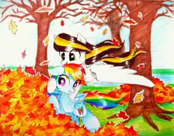 Size: 2964x2322 | Tagged: safe, artist:liaaqila, derpibooru import, rainbow dash, oc, oc:tulpa twilight, pegasus, pony, commission, eye clipping through hair, female, leaves, mare, pile of leaves, traditional art, tree