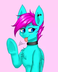 Size: 1600x2000 | Tagged: safe, artist:zachc, derpibooru import, oc, unofficial characters only, pegasus, chest fluff, choker, female, piercing, simple background, solo, tongue out, underhoof