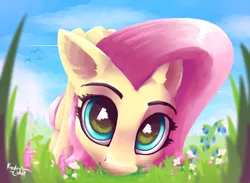 Size: 3000x2200 | Tagged: safe, artist:kridershot, derpibooru import, fluttershy, pegasus, pony, cute, ear fluff, female, flower, grass, high res, looking at you, mare, shyabetes, smiling, solo, weapons-grade cute, worm's eye view