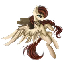 Size: 1500x1700 | Tagged: safe, artist:hunterbookie, derpibooru import, oc, oc:dream catcher, unofficial characters only, pegasus, pegasus oc, simple background, solo, transparent background, wings