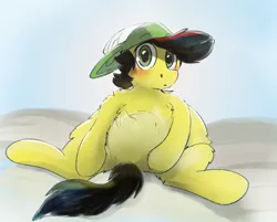 Size: 6964x5600 | Tagged: safe, artist:fiyawerks, derpibooru import, oc, oc:fiya, unofficial characters only, earth pony, pony, blushing, chest fluff, chubby, cute, earth pony oc, fluffy, hat, looking at you, male, sitting, solo, stallion