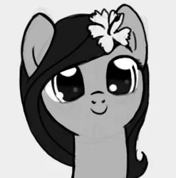 Size: 356x360 | Tagged: safe, artist:nimaru, derpibooru import, oc, oc:luau, earth pony, pony, female, flower, flower in hair, mare, monochrome, solo