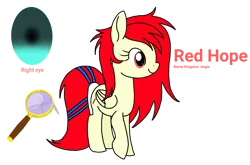Size: 2176x1440 | Tagged: safe, artist:windy breeze, derpibooru import, oc, oc:red hope, unofficial characters only, pegasus, pony, cutie mark, empty eyes, heterochromia, reference sheet, simple background, solo, transparent background