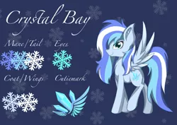 Size: 2387x1694 | Tagged: safe, artist:crystalbay, derpibooru import, oc, oc:crystal bay, unofficial characters only, pegasus, pony, blue, clothes, coat, color, crystal, female, mare, pegasus oc, reference sheet, snow, snowflake, solo, wings