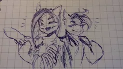 Size: 1280x720 | Tagged: safe, artist:kiwwsplash, derpibooru import, oc, unofficial characters only, earth pony, pony, bust, duo, earth pony oc, graph paper, lineart, traditional art