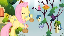 Size: 1246x701 | Tagged: safe, derpibooru import, screencap, constance, fluttershy, bird, blue jay, pony, filli vanilli, bird house, birdseed, chickadee (bird), cute, female, fluttershy's cottage, mare, nest, purple martin, shyabetes, tree