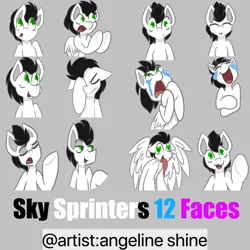 Size: 2000x2000 | Tagged: safe, artist:angeline shine, artist:skysprinter, derpibooru import, edit, oc, oc:skysprinter, unofficial characters only, pony, crying, drool, expressions, face, facehoof, happy, hooves, love, smiling, smirk, smug, stare