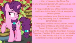 Size: 1920x1080 | Tagged: safe, derpibooru import, edit, edited screencap, editor:jaredking203, screencap, sugar belle, pony, unicorn, hard to say anything, facts, female, mare, solo