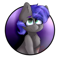 Size: 1280x1280 | Tagged: safe, artist:diantrex, derpibooru import, oc, oc:mae, unofficial characters only, earth pony, pony, circle, halfbody, happy, purple mane, smiling, solo