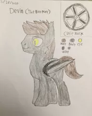 Size: 1488x1872 | Tagged: artist needed, safe, derpibooru import, oc, oc:devin, bat pony, reference sheet, solo, traditional art