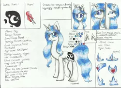 Size: 2338x1700 | Tagged: safe, artist:careness, derpibooru import, oc, oc:princess sky, unicorn, horn, reference sheet, solo, traditional art, unicorn oc