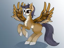 Size: 1600x1200 | Tagged: safe, artist:inanimatelotus, derpibooru import, oc, bird, owl, owl pony, pegasus, pony, gradient background, hind legs, rearing, simple background, solo, spread wings, wings