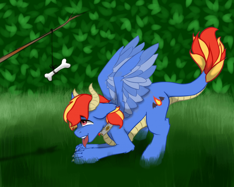 Size: 960x768 | Tagged: safe, artist:dark_nidus, derpibooru import, oc, oc:draco flames, unofficial characters only, original species, pony, behaving like a dog, bone, carrot on a stick, collar, commission, cutie mark, outdoors, solo, tongue out, wings, ych result