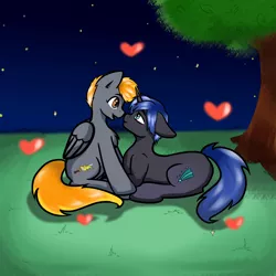 Size: 960x960 | Tagged: safe, artist:dark_nidus, derpibooru import, oc, unofficial characters only, pegasus, pony, commission, love, night, night sky, oc x oc, outdoors, shipping, sky, ych result