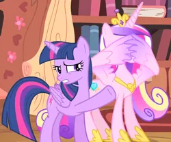 Size: 1480x1233 | Tagged: safe, derpibooru import, screencap, princess cadance, twilight sparkle, twilight sparkle (alicorn), alicorn, pony, three's a crowd, disgusted, duo, facewing, female, golden oaks library, hiding behind wing, library, sisters-in-law, wings