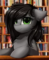 Size: 1446x1764 | Tagged: safe, artist:pridark, derpibooru import, oc, oc:vyden, unofficial characters only, earth pony, pony, :3, book, bookshelf, bust, chest fluff, commission, library, looking at you, portrait, reflection, smiling, solo