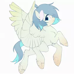 Size: 2048x2048 | Tagged: safe, artist:amo, derpibooru import, oc, unofficial characters only, pegasus, pony, simple background, solo, underhoof, unshorn fetlocks, white background
