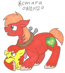 Size: 909x1026 | Tagged: safe, artist:cmara, derpibooru import, apple bloom, big macintosh, earth pony, pony, apple bloom's bow, bow, brother and sister, brotherly love, female, filly, hair bow, male, open mouth, raised hoof, sibling, sibling love, siblings, simple background, stallion, traditional art, unshorn fetlocks, white background, younger