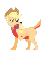 Size: 744x1052 | Tagged: safe, artist:dupontsimon, derpibooru import, applejack, dog, fanfic:magic show of friendship, equestria girls, appledog, collar, cutie mark collar, dogified, fanfic art, female, open mouth, simple background, solo, species swap, transformation, transparent background, vector