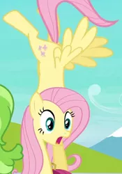 Size: 504x720 | Tagged: safe, derpibooru import, screencap, chickadee, fluttershy, ms. peachbottom, pegasus, pony, games ponies play, season 3, cropped, female, handstand, mare, shocked, solo, twilight eyes, upside down