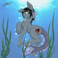 Size: 2000x2000 | Tagged: safe, artist:miscellanea_apgk, derpibooru import, oc, ponified, ponified:kellin quinn, half-siren, hybrid, pony, bubble, commission, curved horn, fangs, fish tail, happy, horn, jewelry, male, necklace, scales, sleeping with sirens, slit eyes, solo, swimming, underwater, ych result