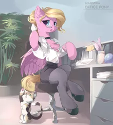 Size: 3150x3500 | Tagged: safe, artist:dreamweaverpony, derpibooru import, oc, oc:miss karen, cat, pegasus, pony, blouse, calico, chest fluff, clothes, female, glasses, hair bun, high heels, jewelry, kitten, mare, necklace, receptionist, secretary, shoes, skirt, socks, stockings, tail bun, telephone, thigh highs