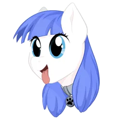 Size: 3000x3000 | Tagged: safe, artist:starlight, derpibooru import, oc, oc:snow pup, unofficial characters only, pony, :p, bust, collar, happy, panting, pet tag, portrait, simple background, solo, tongue out, transparent background