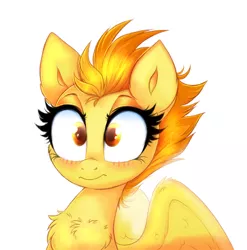 Size: 2305x2329 | Tagged: safe, artist:confetticakez, derpibooru import, spitfire, pegasus, pony, blushing, cheek fluff, chest fluff, colored pupils, cute, cutefire, ear fluff, embarrassed, female, fluffy, frown, mare, simple background, sitting, solo, spread wings, white background, wide eyes, wing fluff, wings