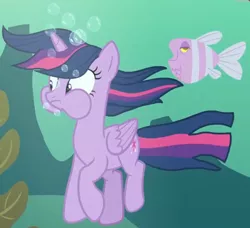 Size: 1184x1081 | Tagged: safe, derpibooru import, screencap, twilight sparkle, twilight sparkle (alicorn), alicorn, fish, pony, every little thing she does, bubble, female, holding breath, mare, puffy cheeks, solo, underwater, water, wide eyes