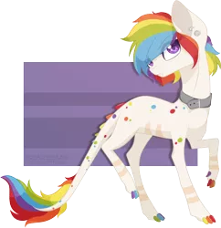 Size: 1746x1805 | Tagged: safe, artist:novachipmunk, derpibooru import, oc, oc:death's head, unofficial characters only, dracony, dragon, hybrid, pony, multicolored hair, simple background, solo, transparent background