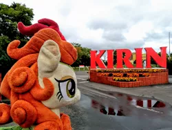 Size: 2080x1560 | Tagged: safe, derpibooru import, autumn blaze, kirin, irl, kirin ichiban, photo, plushie, solo