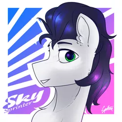 Size: 1920x1920 | Tagged: safe, artist:chebypattern, derpibooru import, oc, oc:skysprinter, unofficial characters only, abstract background, black mane, bust, commission, green eyes, not soarin, portrait, smiling, smiling at you, solo, white coat