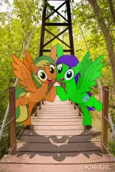 Size: 1280x1920 | Tagged: safe, artist:indonesiarailroadpht, derpibooru import, oc, oc:naviga, oc:raulix evergreen, unofficial characters only, pegasus, pony, road to friendship, bridge, forest, happy, irl, photo, raffle prize, scene interpretation, show accurate, tree