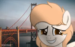 Size: 1280x800 | Tagged: safe, artist:indonesiarailroadpht, derpibooru import, oc, unofficial characters only, pegasus, pony, golden gate bridge, irl, pegasus oc, photo, ponies in real life, raffle prize, san francisco, show accurate, wings