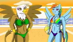 Size: 1280x747 | Tagged: safe, artist:deskmaniac, derpibooru import, gilda, rainbow dash, anthro, gryphon, pegasus, abs, beach, belly button, bikini, breasts, clothes, duo, female, grin, hand on hip, image, jpeg, looking at you, rainbow bikini, smiling, smirk, spread wings, sunset, swimsuit, twist bandeau, volleyball net, wings