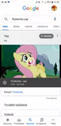 Size: 720x1480 | Tagged: safe, derpibooru import, screencap, fluttershy, pegasus, pony, barely pony related, google, google search, hungarian, hungary, meme, photo, xd